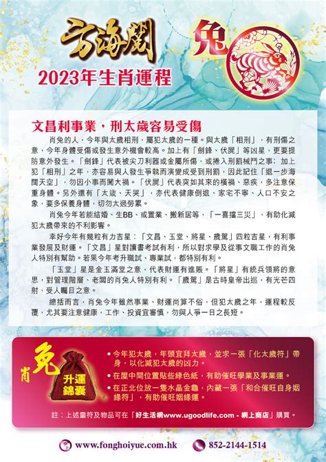 屬兔流年|2024 肖兔流年運程 